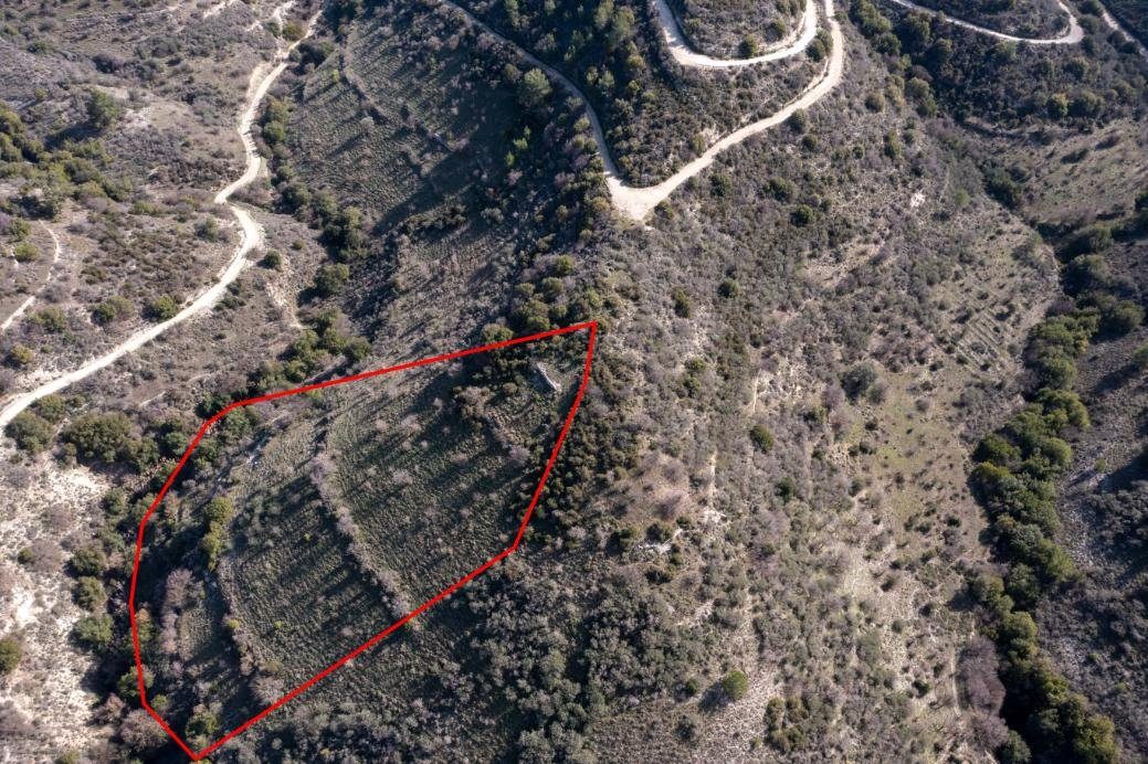 Field in Dora, Limassol photo 2