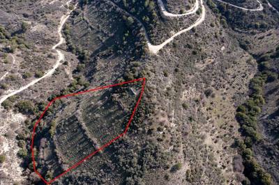 Field in Dora, Limassol thumbnail 2