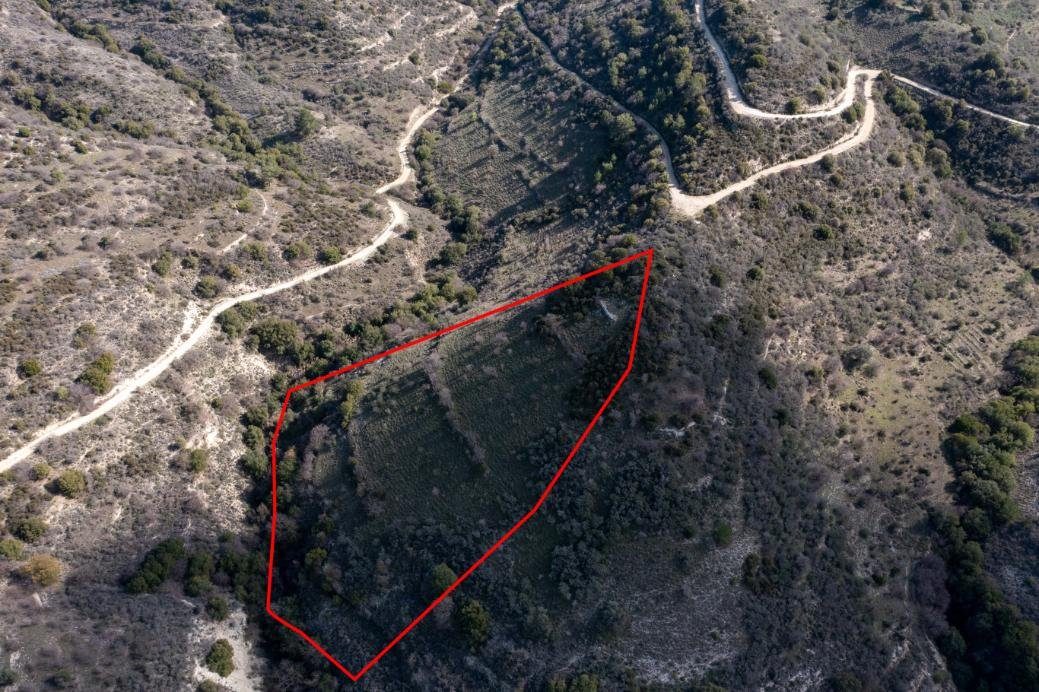 Field in Dora, Limassol photo 3