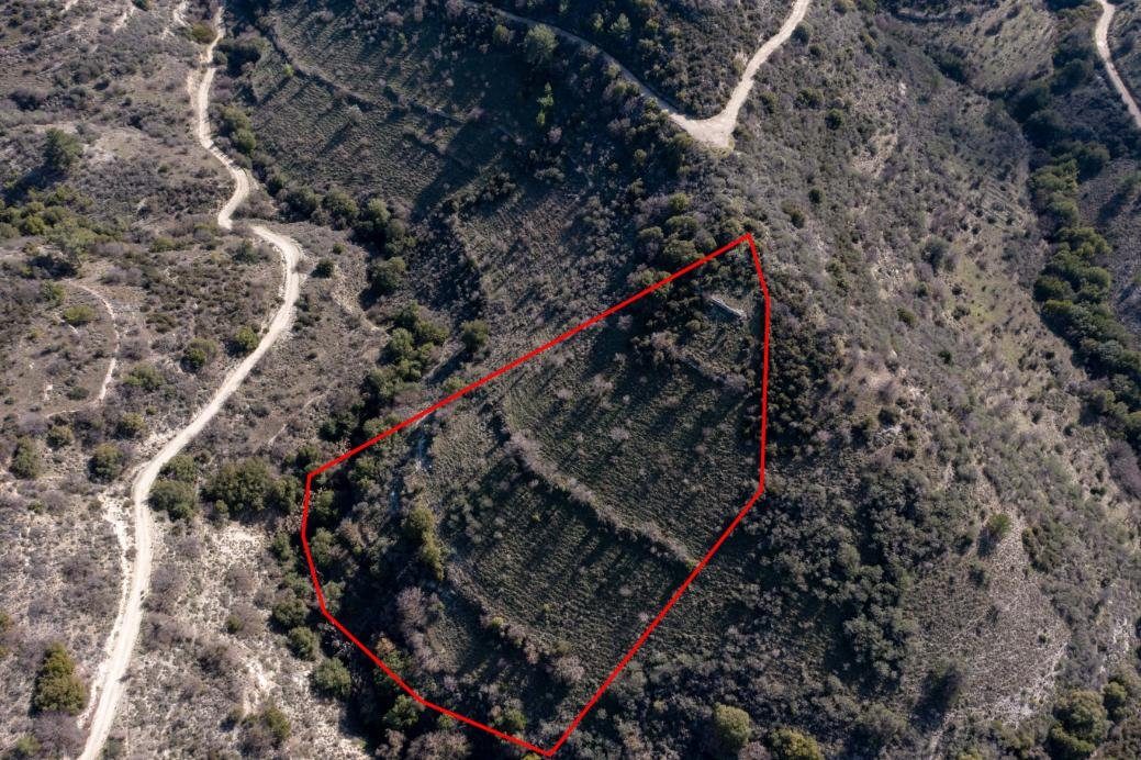 Field in Dora, Limassol photo 1
