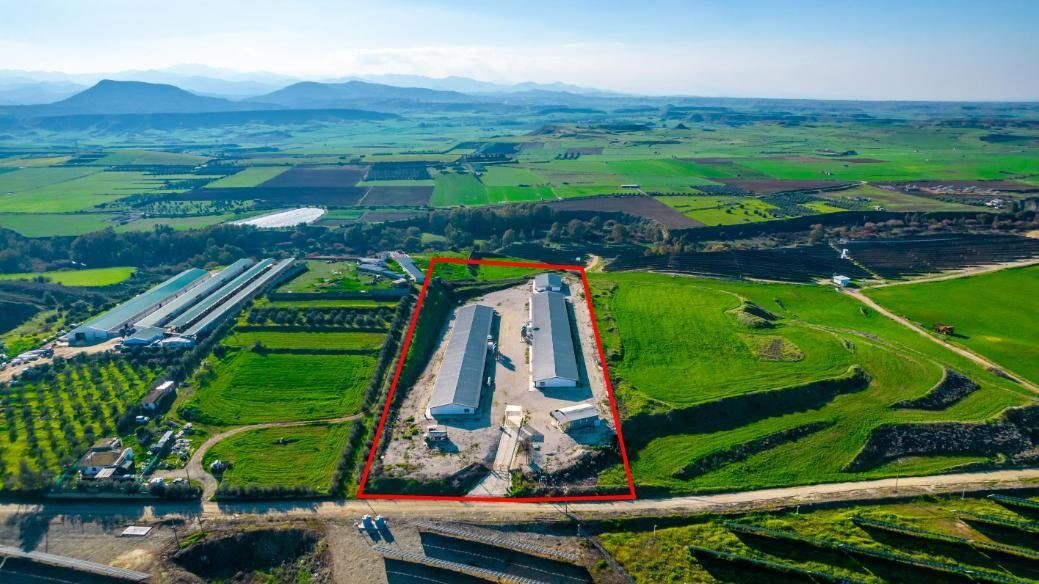 Field with a poultry farm in Agios Ioannis Malountas, Nicosia photo 1
