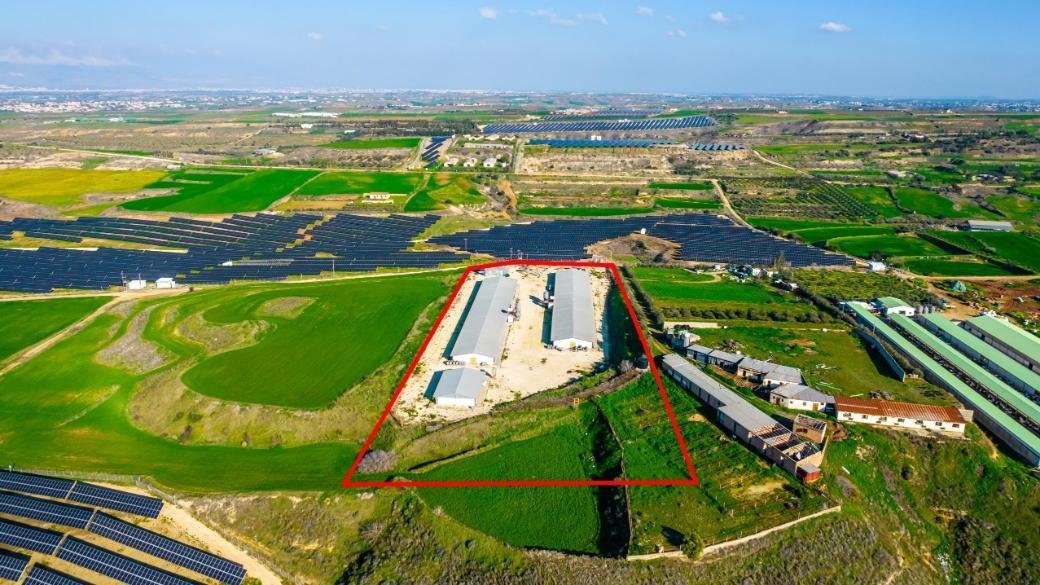 Field with a poultry farm in Agios Ioannis Malountas, Nicosia photo 4