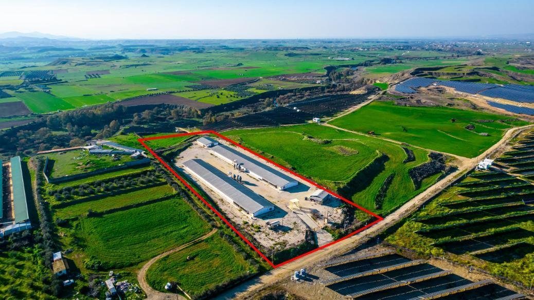 Field with a poultry farm in Agios Ioannis Malountas, Nicosia photo 2