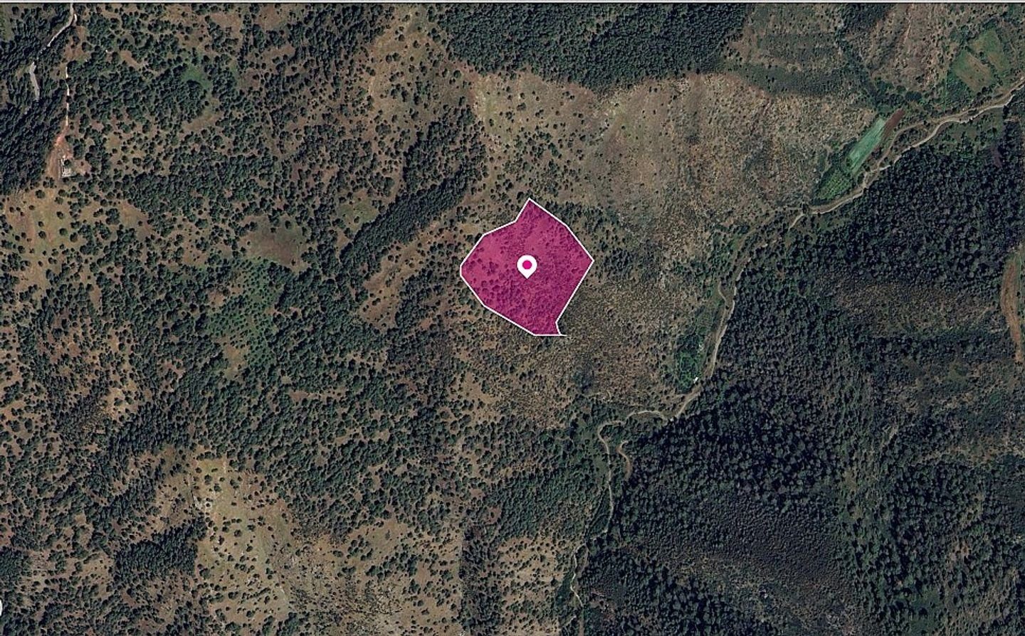 Agricultural field located in Pigenia, Nicosia photo 2