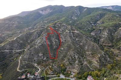 Agricultural field in Pelendri, Limassol thumbnail 3