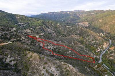 Agricultural field in Pelendri, Limassol thumbnail 1