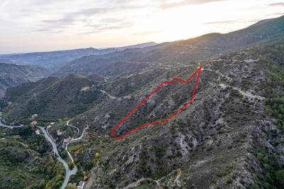 Agricultural field in Pelendri, Limassol thumbnail 4