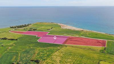 Seaview Field in Mazotos, Larnaca thumbnail 2