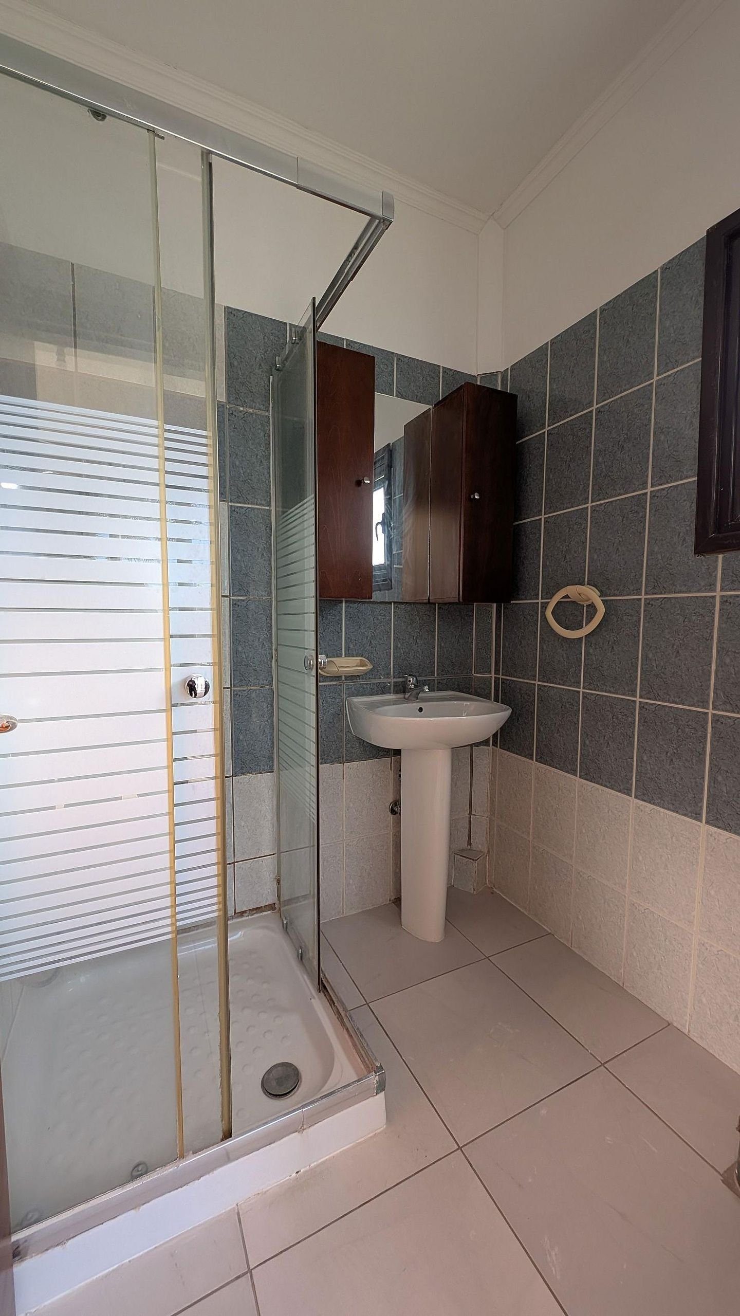 Four-Bedroom Detached House in Tseri, Nicosia photo 21