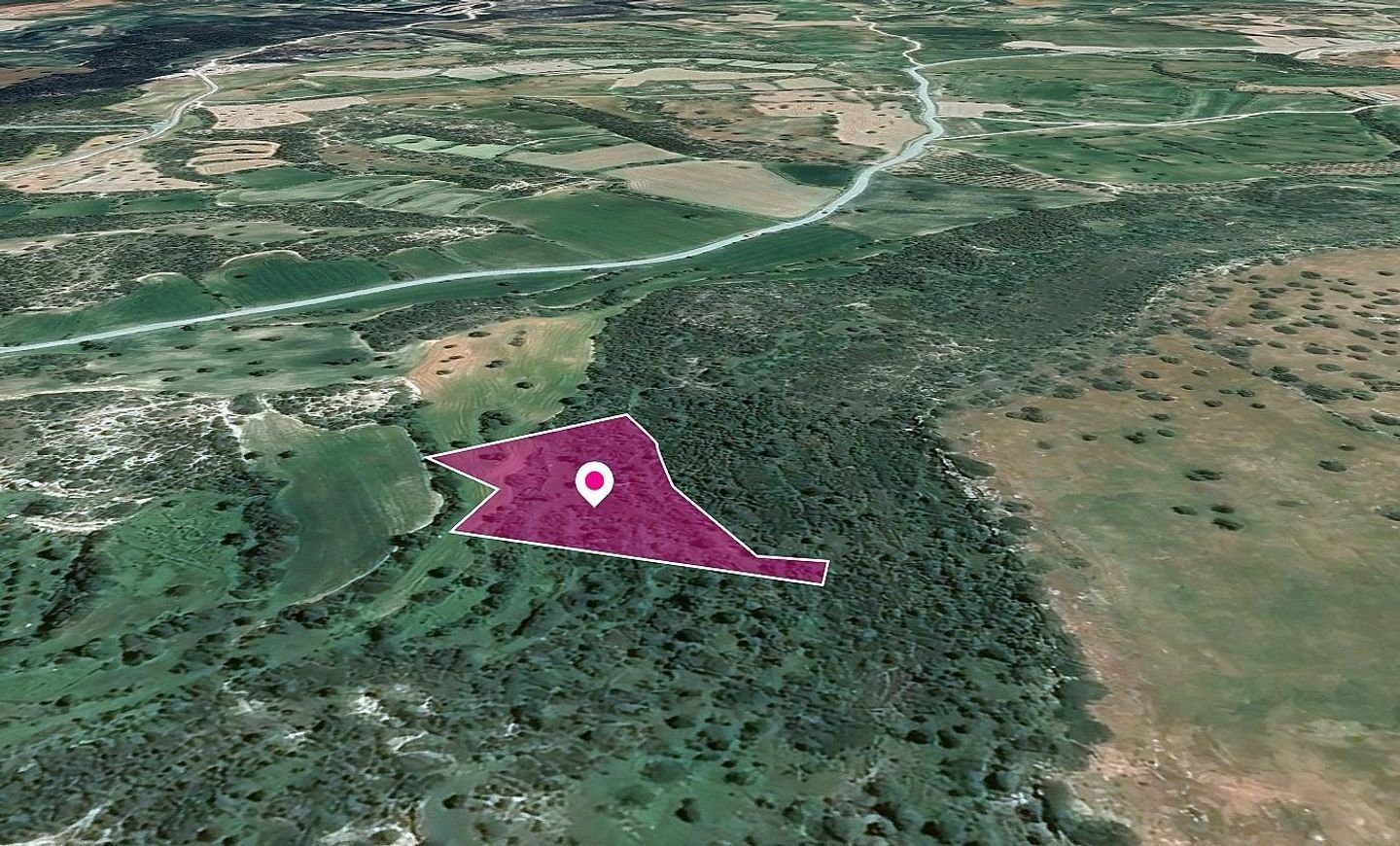 Agricultural field in Agios Theodoros, Larnaca photo 2
