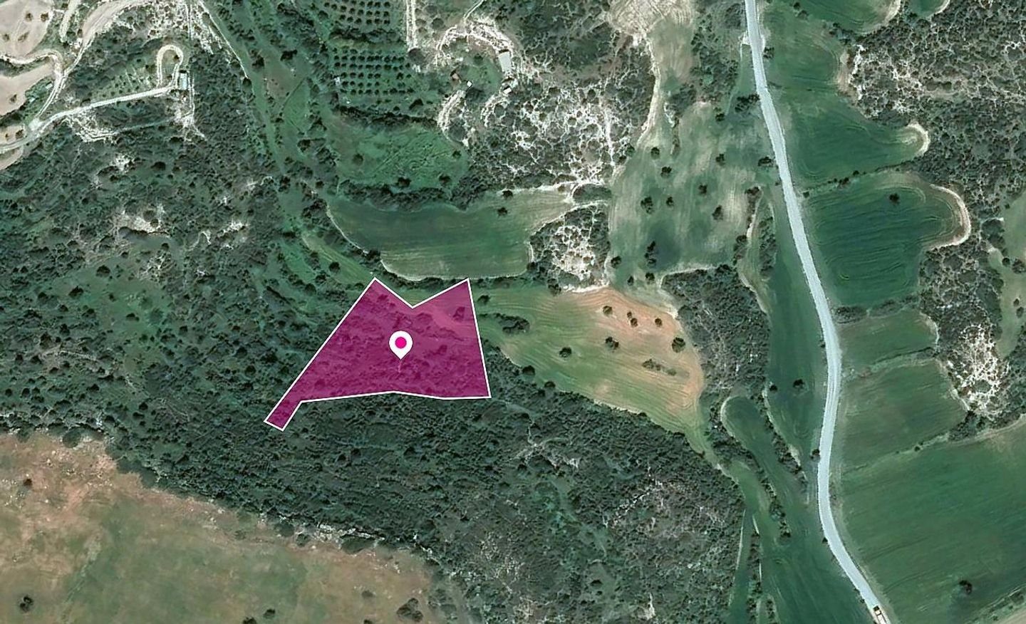 Field in Agios Theodoros, Larnaca photo 1