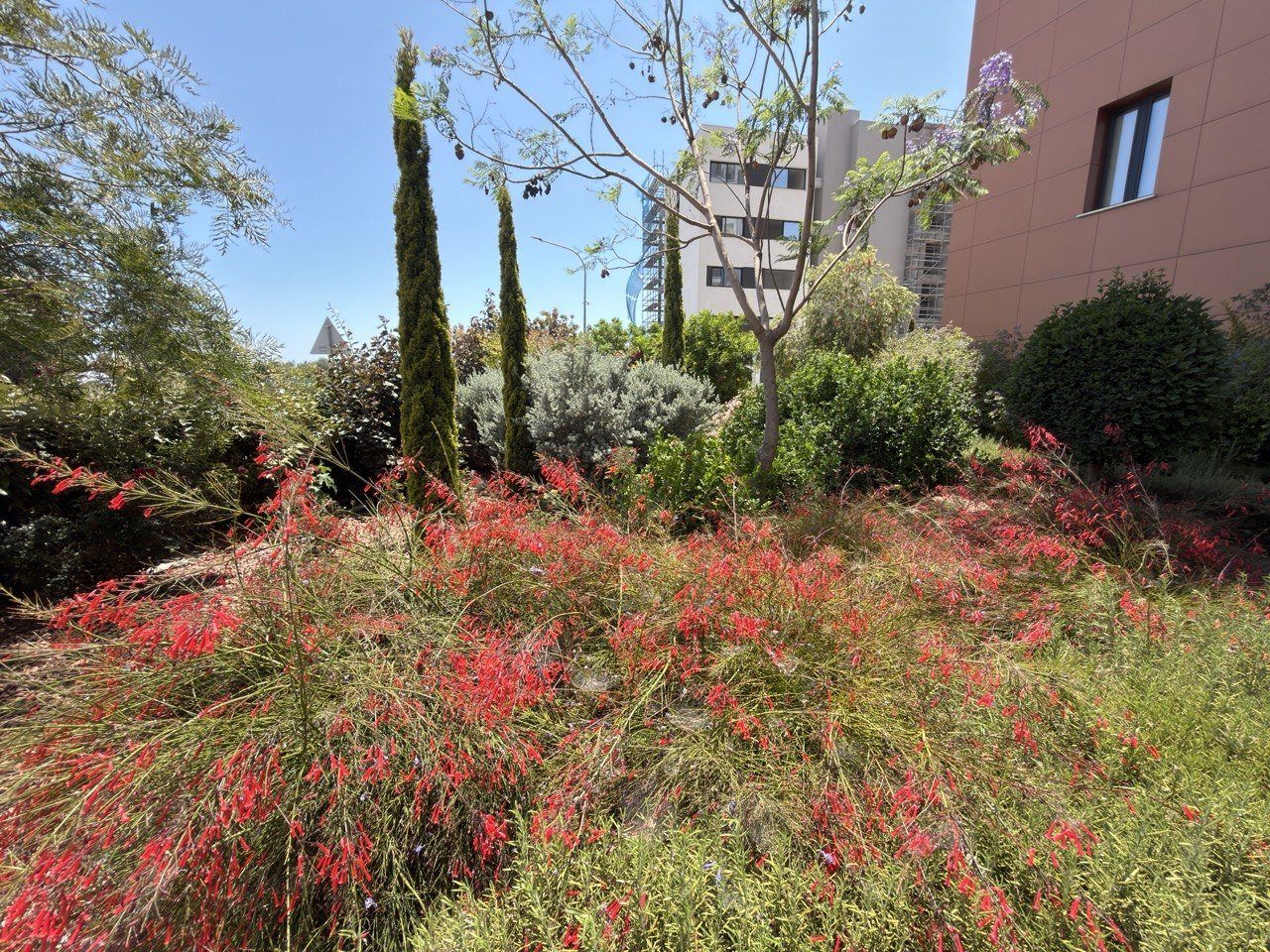 1 BR Apartment in Agia Paraskevi, Limassol photo 16