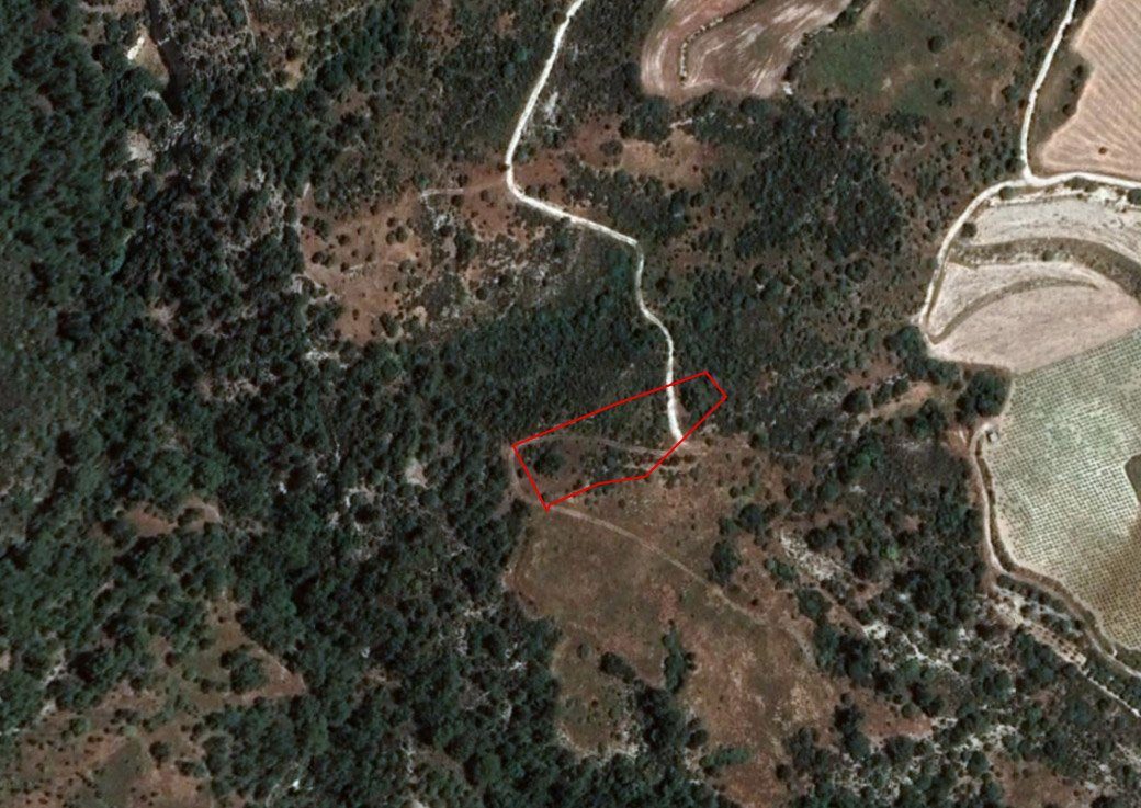 Field in Dora, Limassol