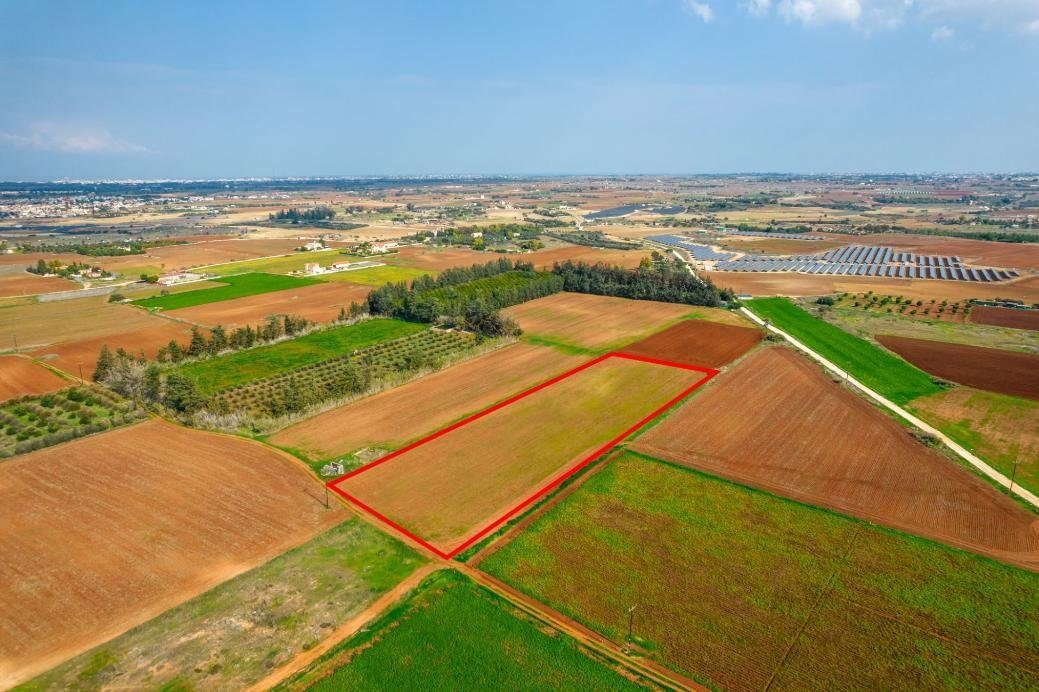 Agricultural field in Frenaros, Famagusta photo 5
