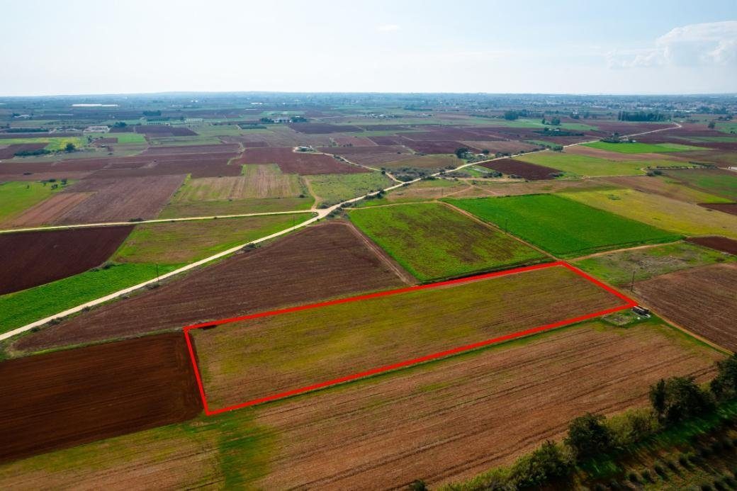 Agricultural field in Frenaros, Famagusta photo 3