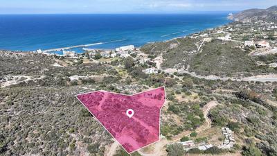Field in Kato Pyrgos, Nicosia thumbnail 1