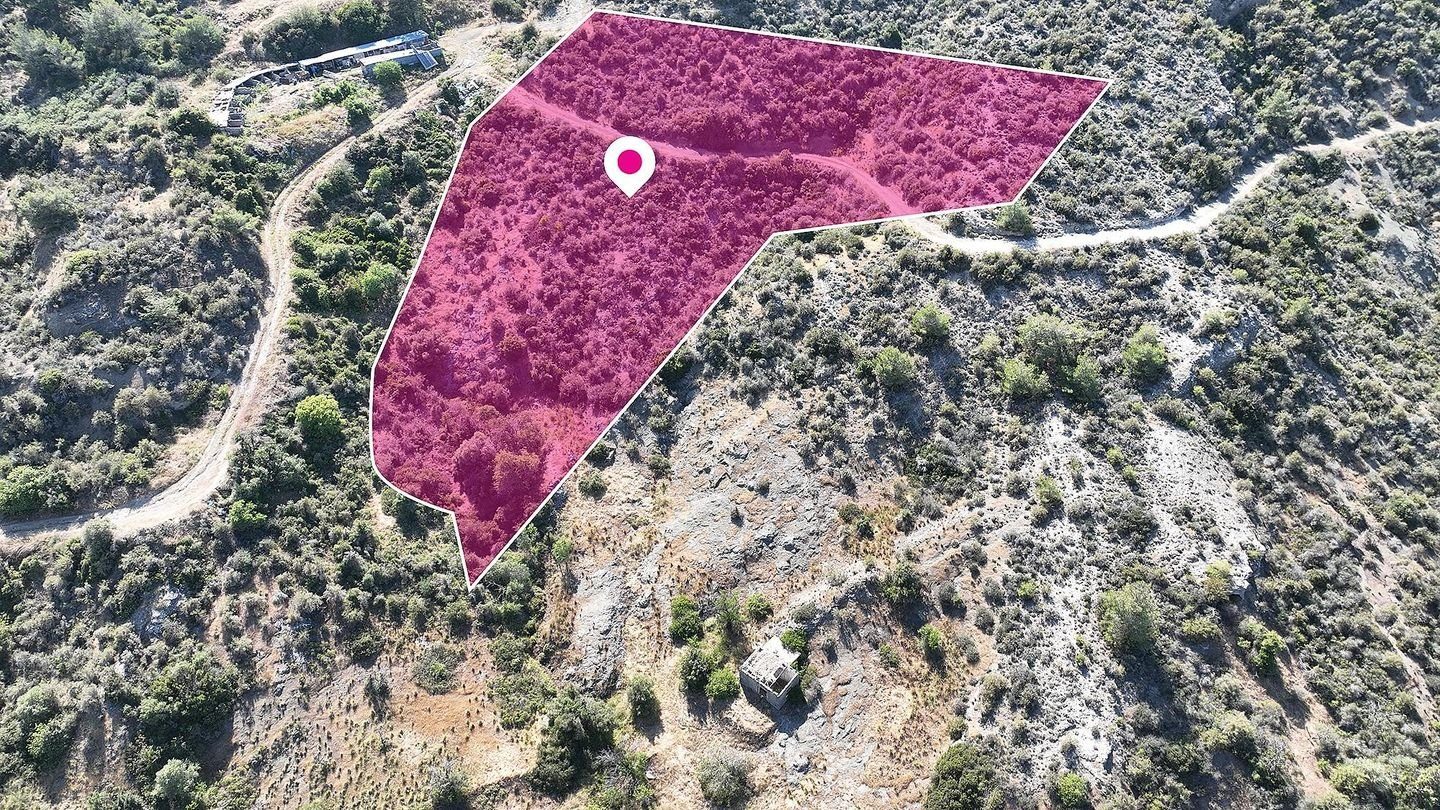 Field in Kato Pyrgos, Nicosia photo 3