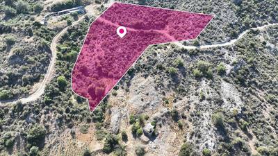 Field in Kato Pyrgos, Nicosia thumbnail 3