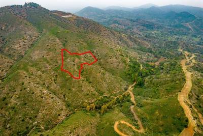 Field in Lythrodontas, Nicosia thumbnail 4