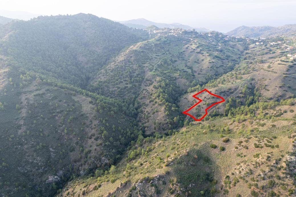 Shared agricultural field in Pigenia, Nicosia — photo 3