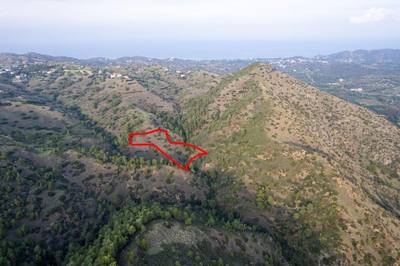 Shared agricultural field in Pigenia, Nicosia thumbnail 1