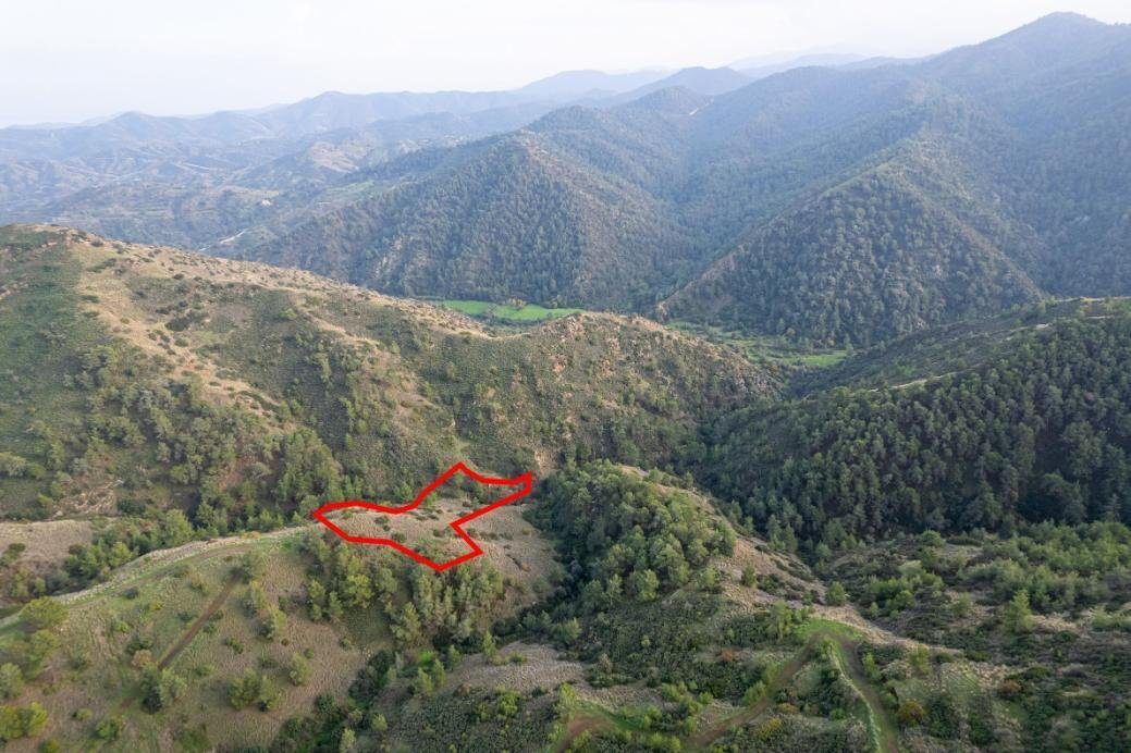 Shared agricultural field in Pigenia, Nicosia — photo 2