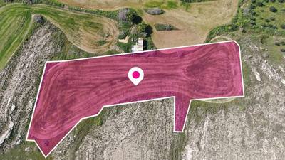 Share (25%) of a residential field, Geri thumbnail 2