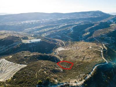 Agricultural field in Omodos, Limassol thumbnail 2
