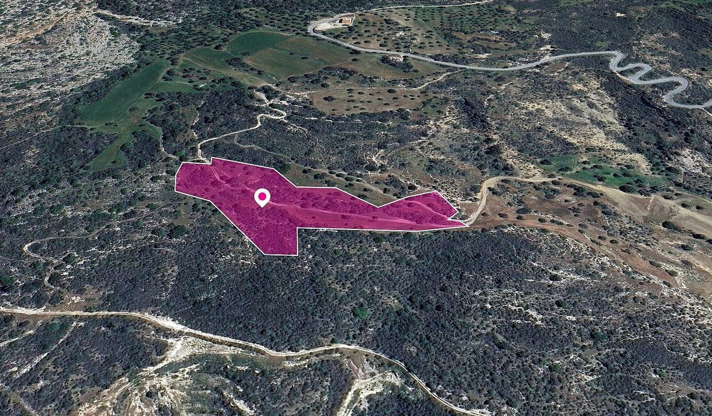 (Share) Agricultural Field in Agios Isidoros, Paphos photo 2