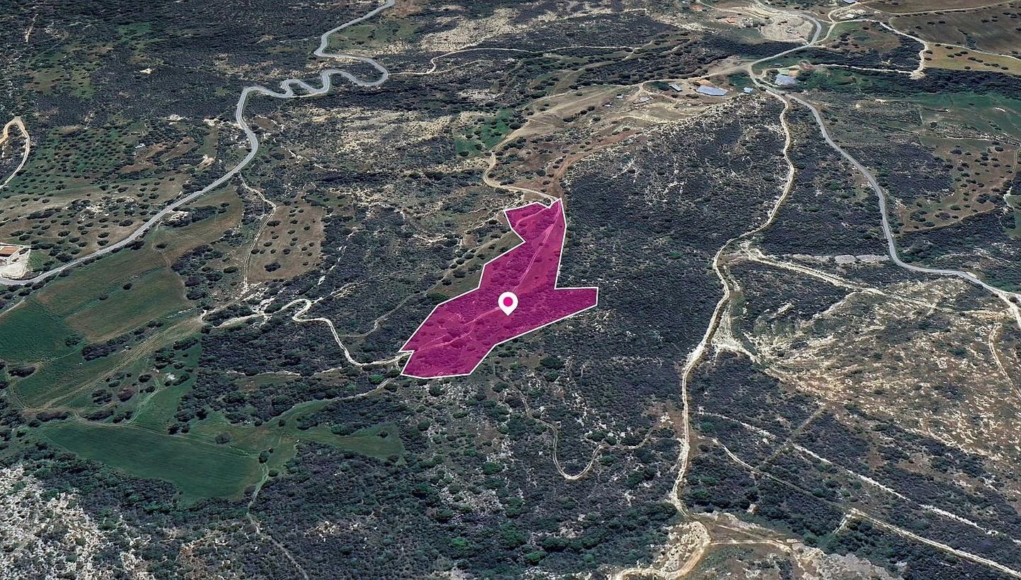(Share) Agricultural Field in Agios Isidoros, Paphos photo 3