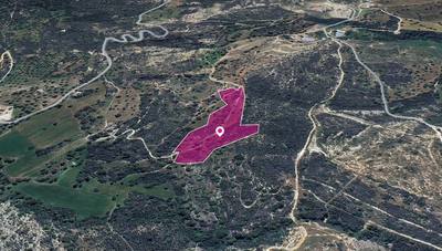 (Share) Agricultural Field in Agios Isidoros, Paphos thumbnail 3