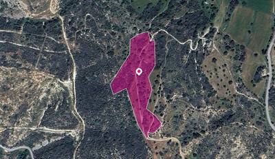 (Share) Agricultural Field in Agios Isidoros, Paphos thumbnail 1