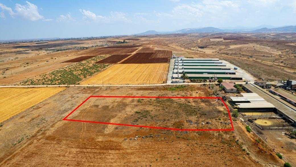 Agricultural field in Peristerona, Nicosia photo 3