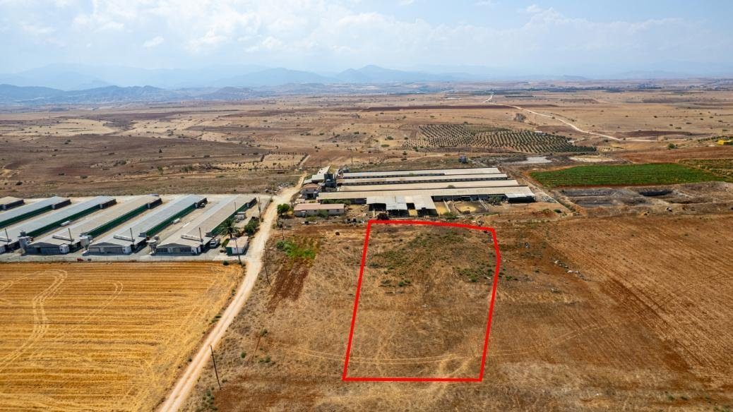 Agricultural field in Peristerona, Nicosia photo 5
