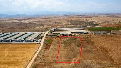 Agricultural field in Peristerona, Nicosia thumbnail 5