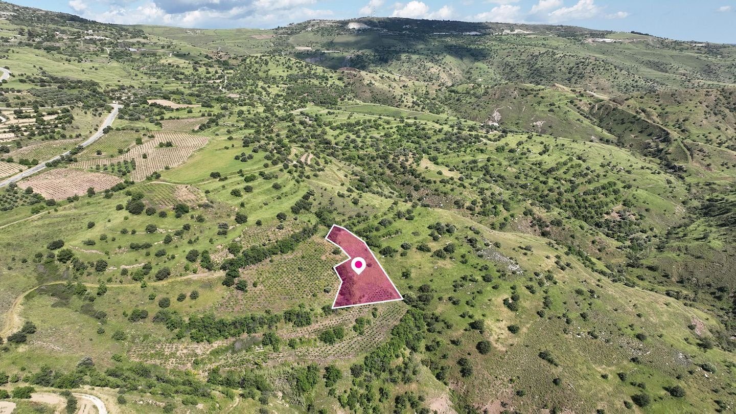 Agricultural Field in Statos – Agios Fotios, Paphos photo 2