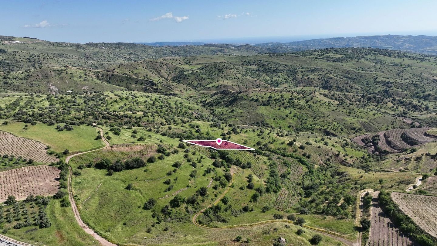 Agricultural Field in Statos – Agios Fotios, Paphos — photo 4