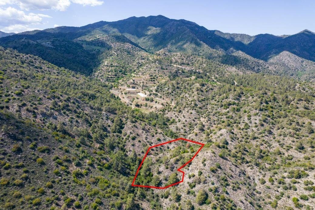 Four fields in Sykopetra, Limassol photo 3