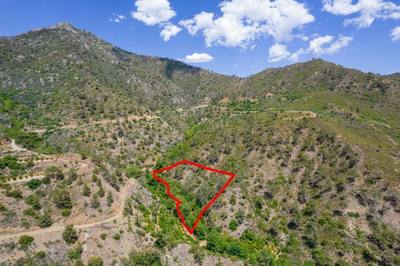 Four fields in Sykopetra, Limassol thumbnail 1