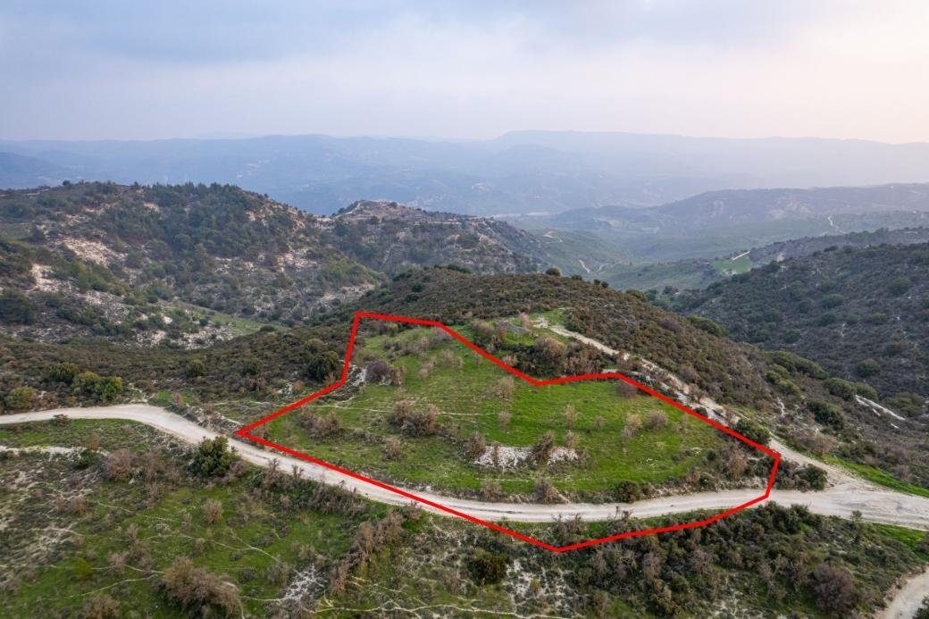 Shared agricultural field in Salamiou, Paphos photo 1