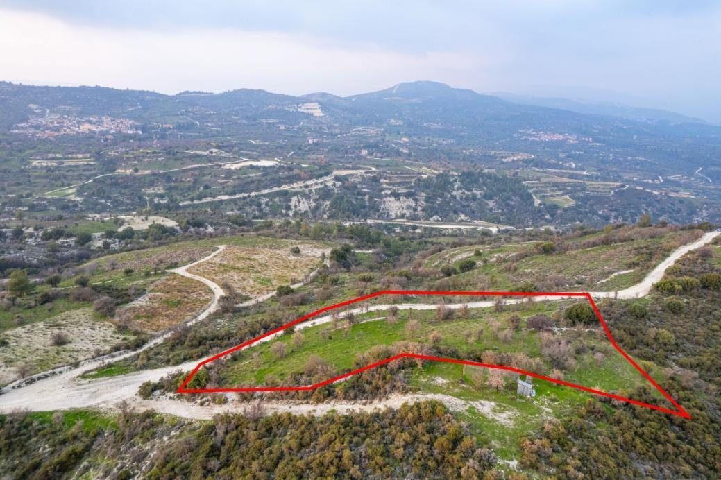 Shared agricultural field in Salamiou, Paphos photo 4