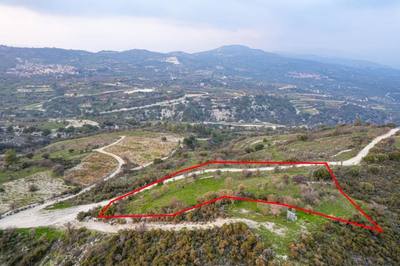 Shared agricultural field in Salamiou, Paphos thumbnail 4