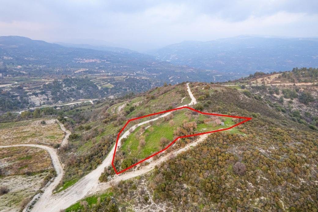 Shared agricultural field in Salamiou, Paphos photo 3