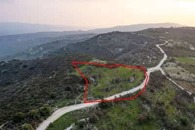 Shared agricultural field in Salamiou, Paphos thumbnail 2