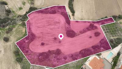 Residential field in Mazotos, Larnaca thumbnail 6