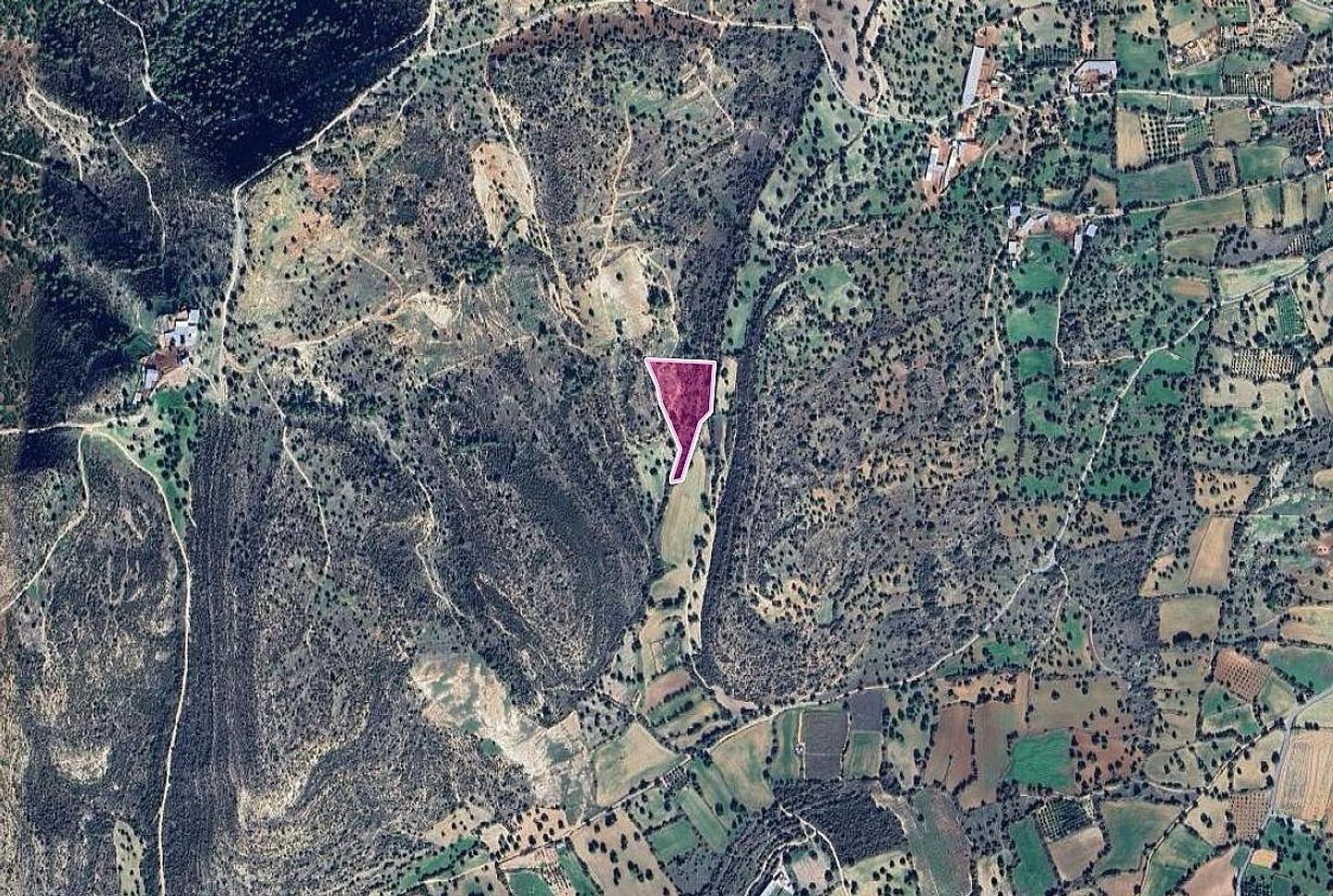 Field, Anogyra, Limassol photo 2
