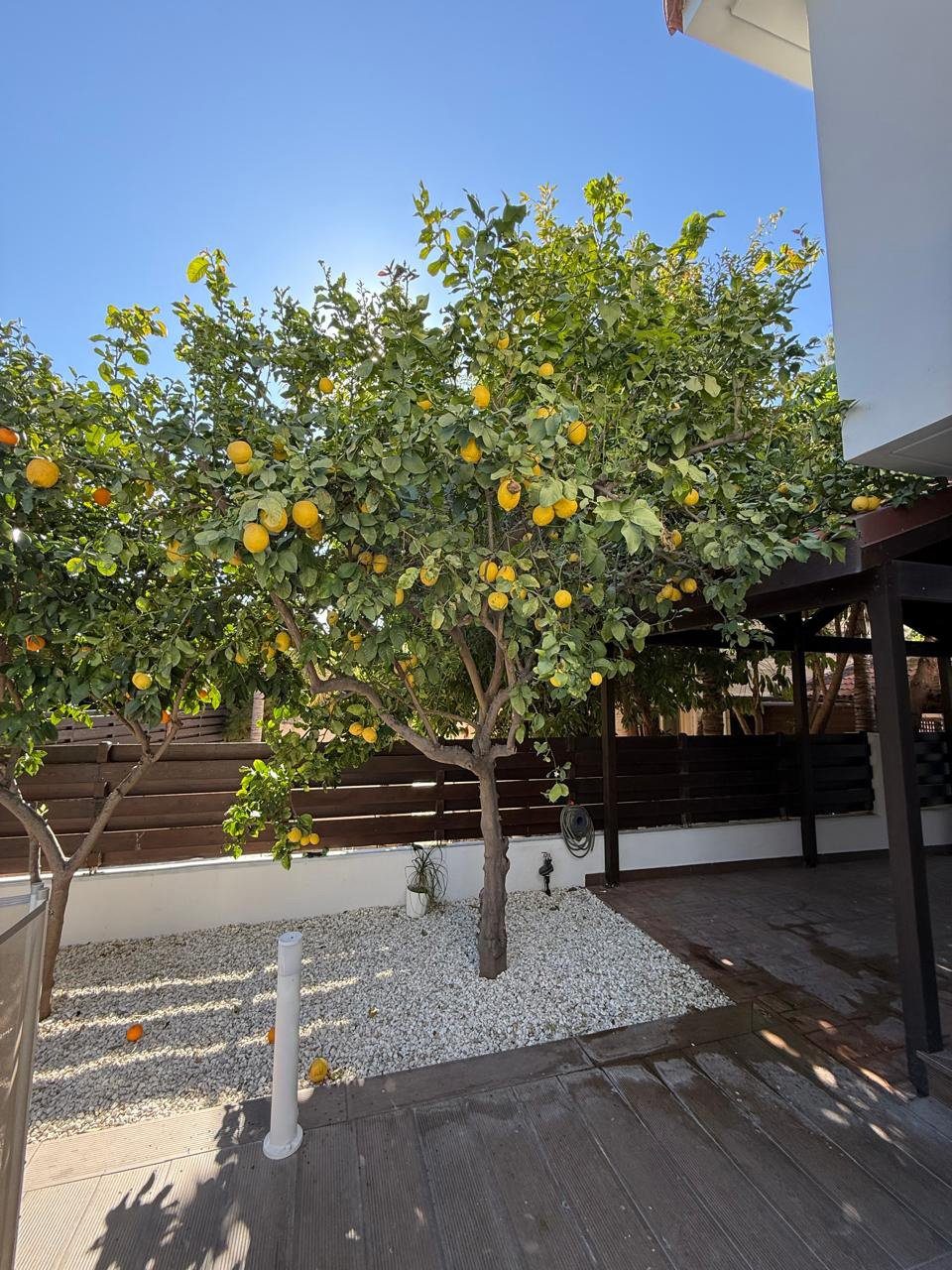5 BR Villa in Pyrgos, Limassol photo 25