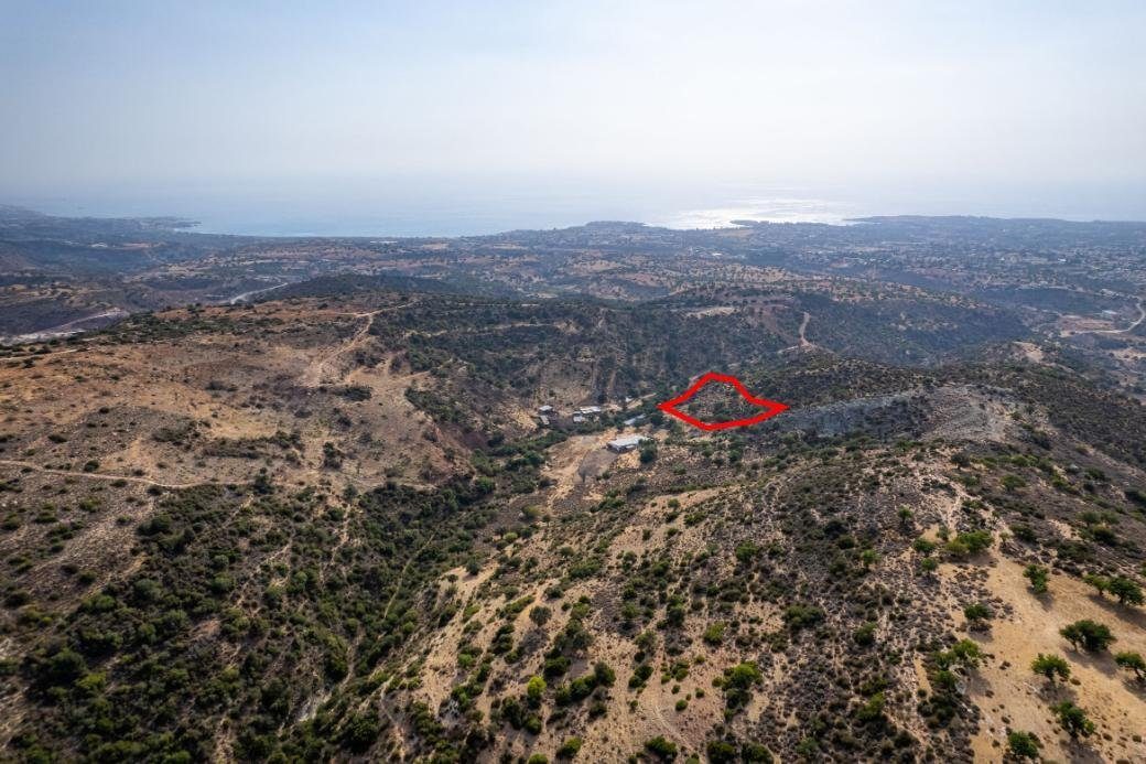 Shared agricultural field in Pegeia, Paphos photo 2