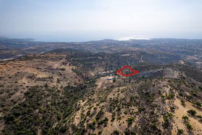 Shared agricultural field in Pegeia, Paphos thumbnail 2