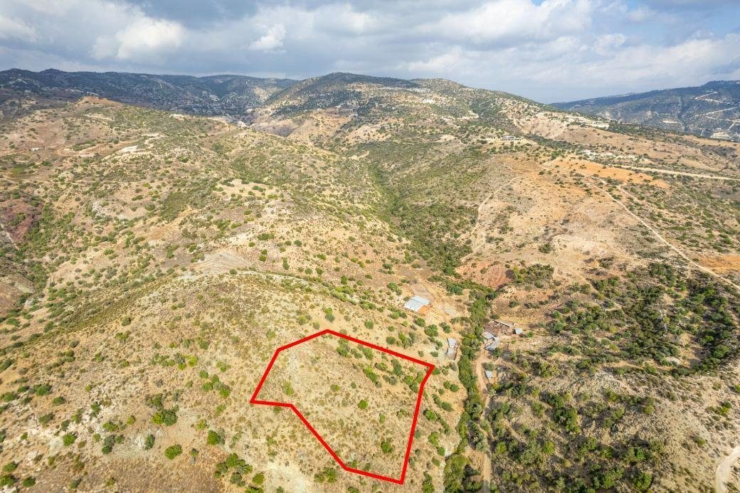Shared agricultural field in Pegeia, Paphos photo 1